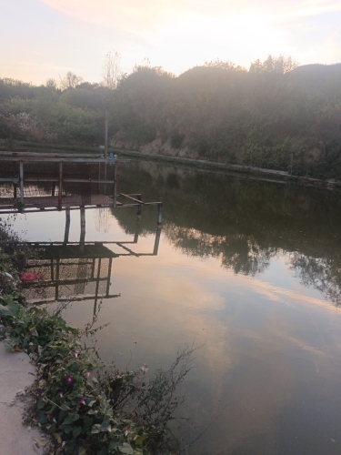 玫瑰庄园休闲垂钓园