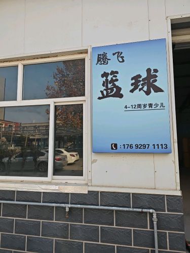 腾飞篮球
