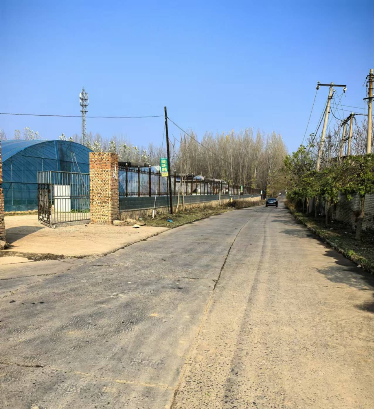 四海三农蔬菜大棚