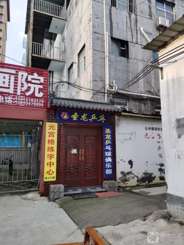 圣龙乒乓