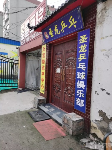 圣龙乒乓