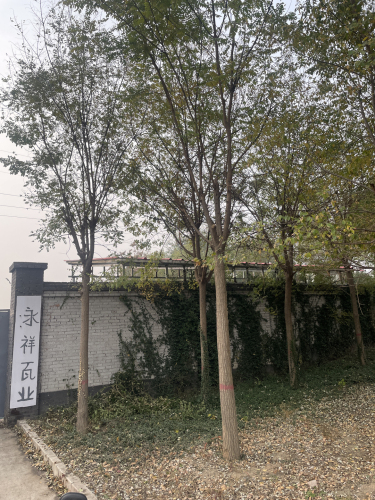 井陉矿区永祥瓦业