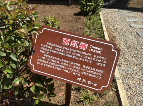 润东农业采摘露营垂钓观光园