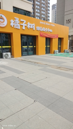 橘子树课后成长中心