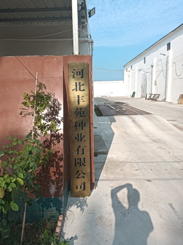 河北丰苑种业有限公司