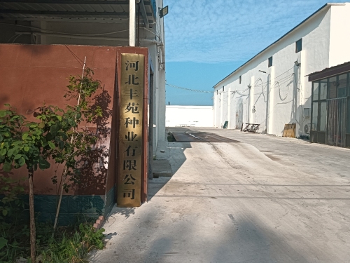 河北丰苑种业有限公司