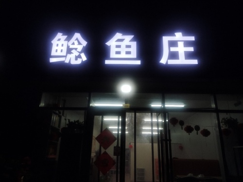 鲶鱼庄