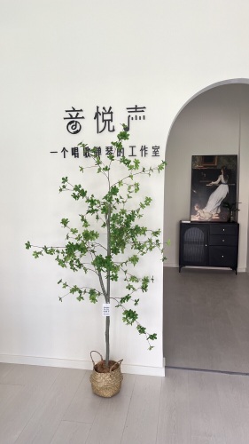 音悦声