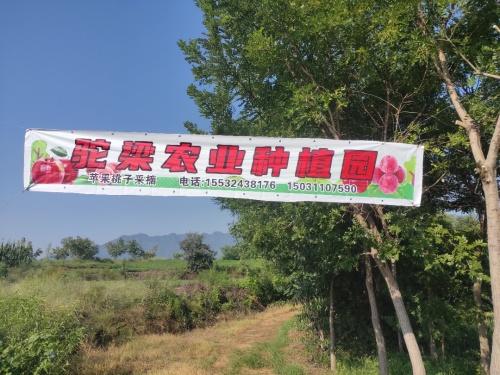 元氏县驼梁农业种植园