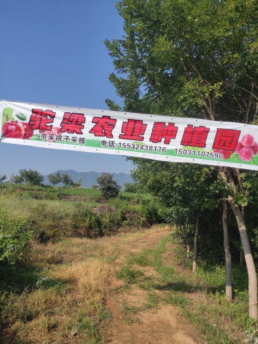 元氏县驼梁农业种植园