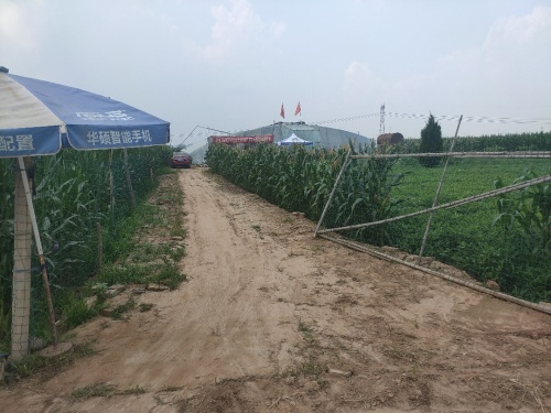 臻鲜阳光玫瑰采摘园