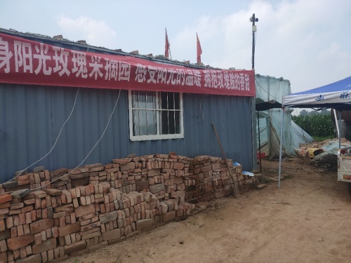 臻鲜阳光玫瑰采摘园