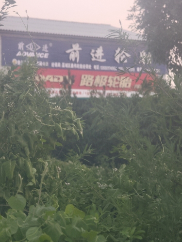 老韩前进轮胎
