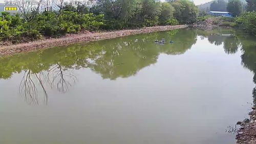 东庄垂钓园