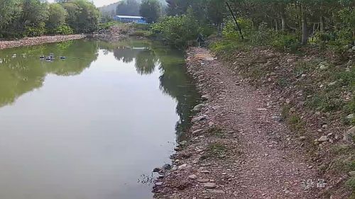东庄垂钓园