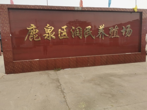 石家庄市鹿泉区润民养殖场