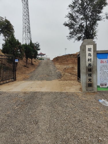 鸵鸟村养殖观光园