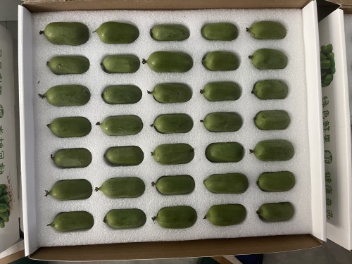 赞皇县软枣猕猴桃采摘基地