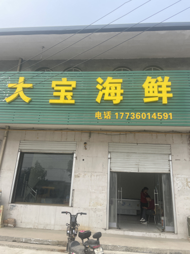 大宝海鲜(定魏线店)