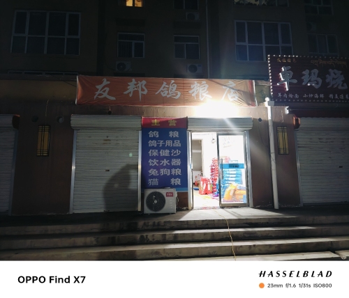 大安友邦赛鸽俱乐部