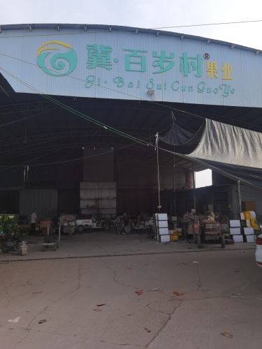 冀百岁村冷库