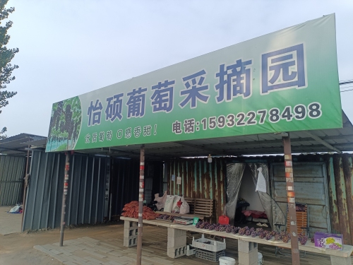 怡硕葡萄采摘园