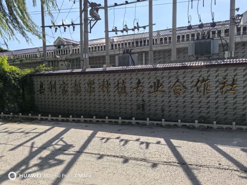 赵县利宝果品种植专业合作社