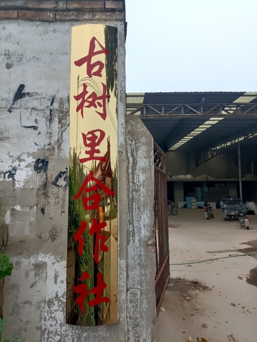 赵县古树里水果种植专业合作社