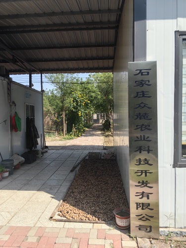 石家庄众麓梅花鹿养殖基地