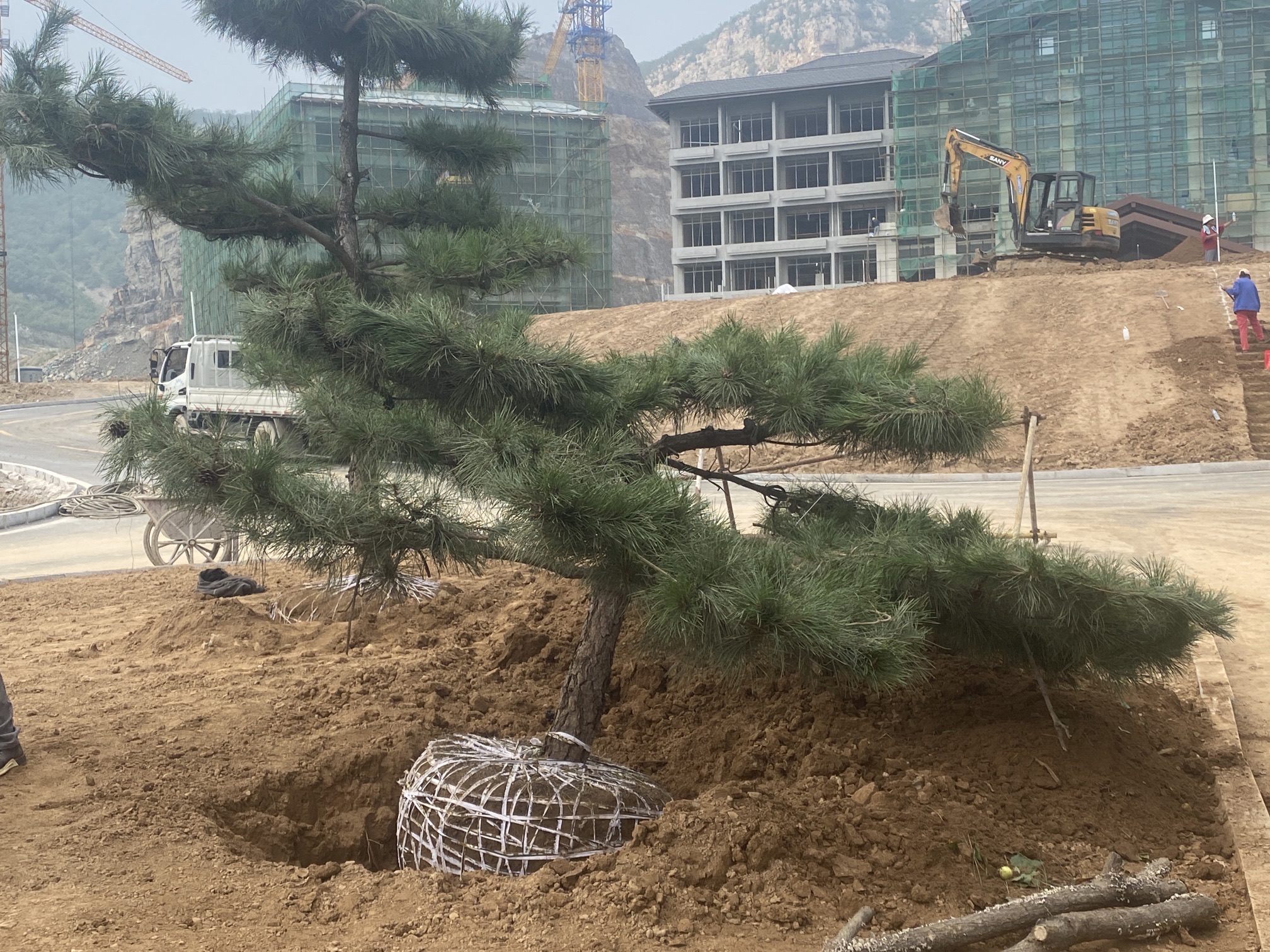 井陉县易鑫种植有限公司