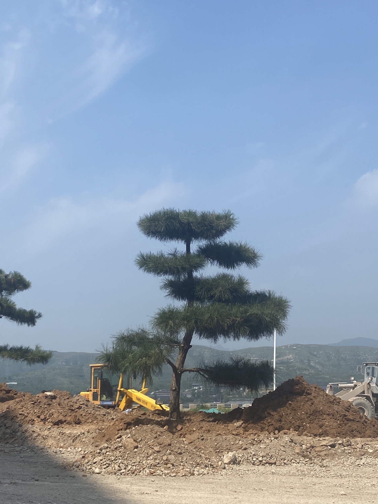 井陉县易鑫种植有限公司