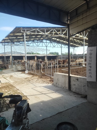 宁晋县日新家庭农场