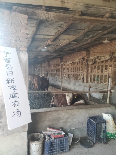 宁晋县日新家庭农场