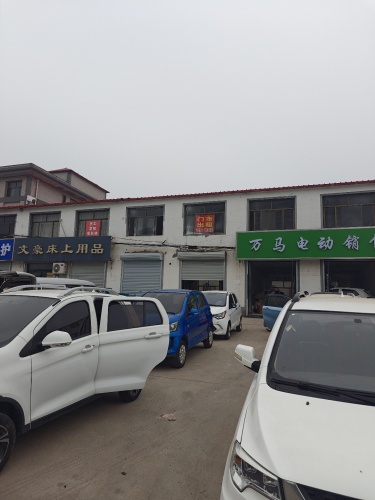 万马电动销售
