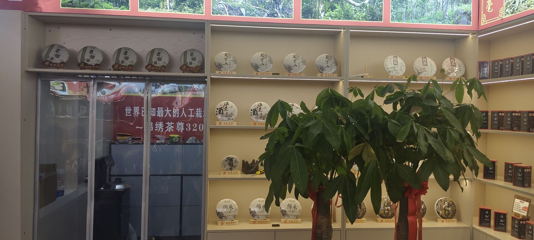 桑延茶叙