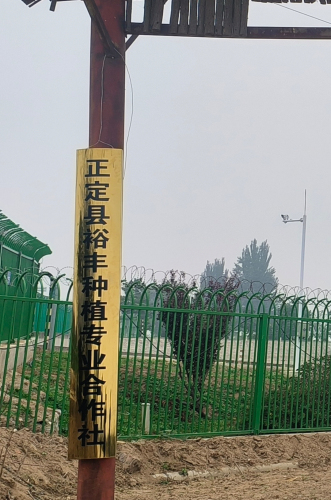 正定裕丰种植园