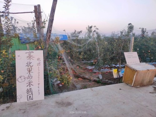 寨北果品采摘园
