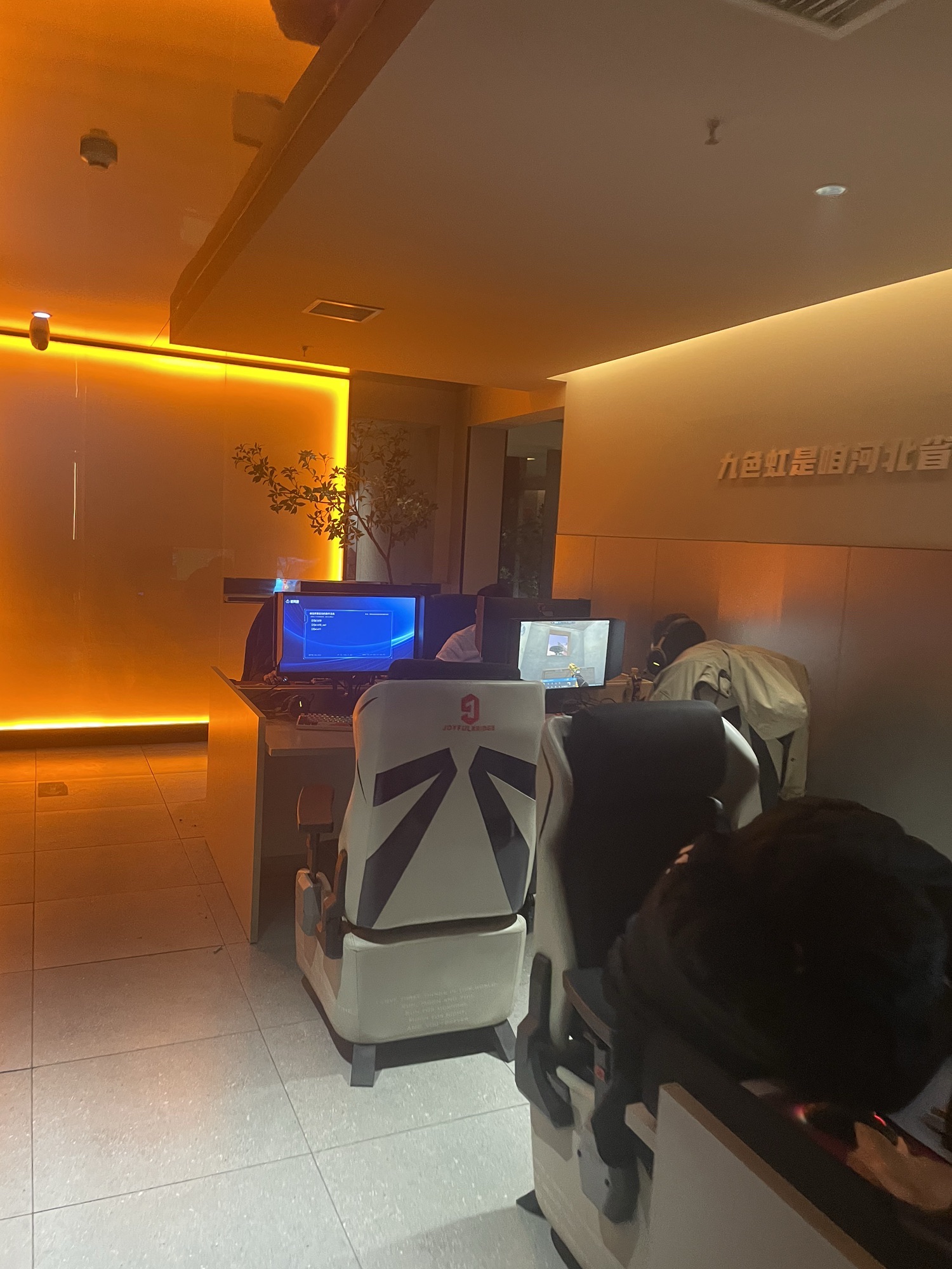 九色虹电竞(红旗店)
