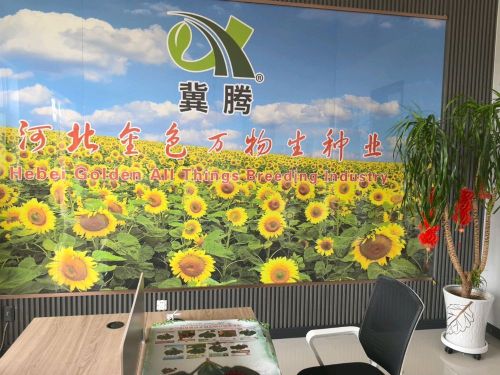 河北金色万物生种子贸易有限公司