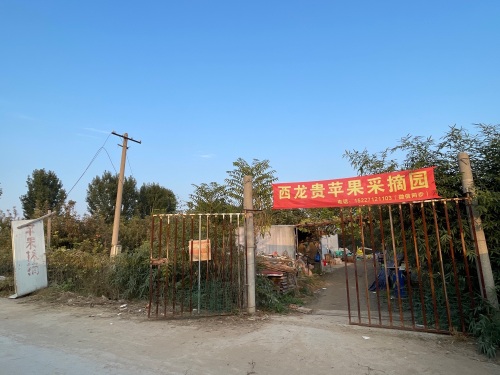 西龙贵苹果采摘园
