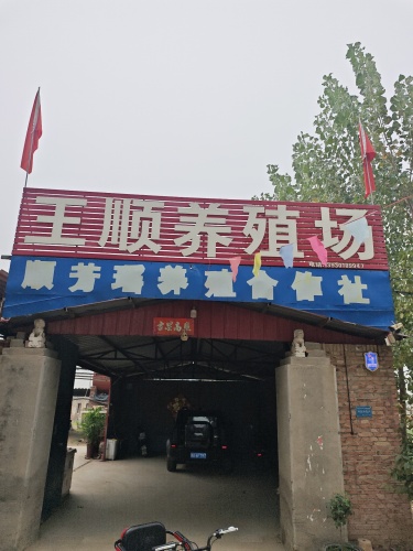辛集市王顺养殖场
