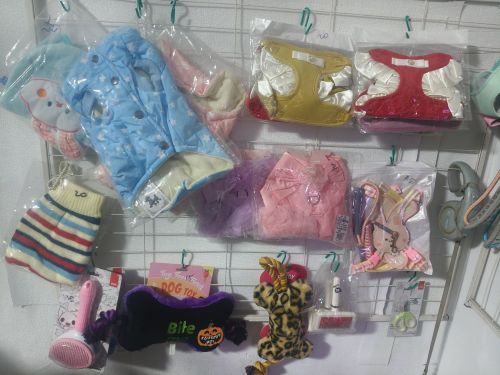 盈星宠物店