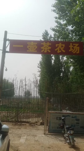 一壶茶农场