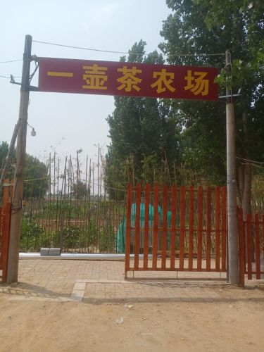 一壶茶农场