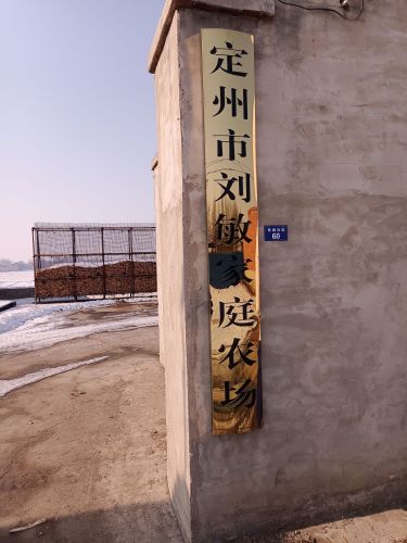 刘敏家庭农场