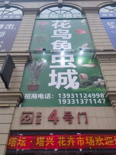 塔坛塔兴花鸟鱼虫城(塔坛国际商贸城-东区店)