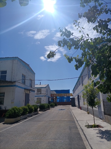 石家庄市栾城区华英工贸有限责任公司(厂区)