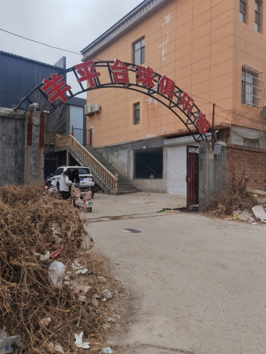 羊平台球俱乐部