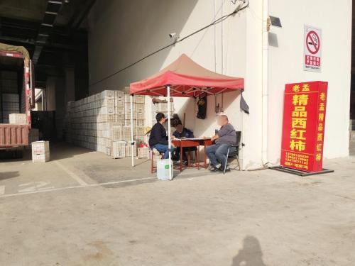 老孟精品西红柿
