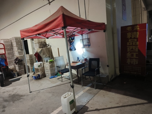 老孟精品西红柿